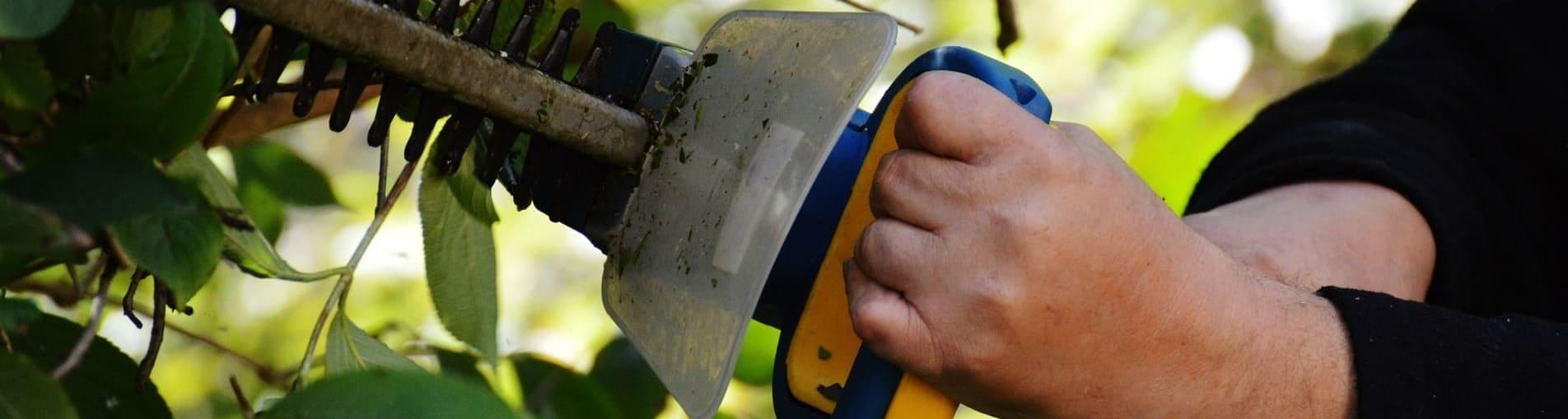 Debaillie Jean-Pierre - zoek een tuinman in vlaanderen op Wazaa