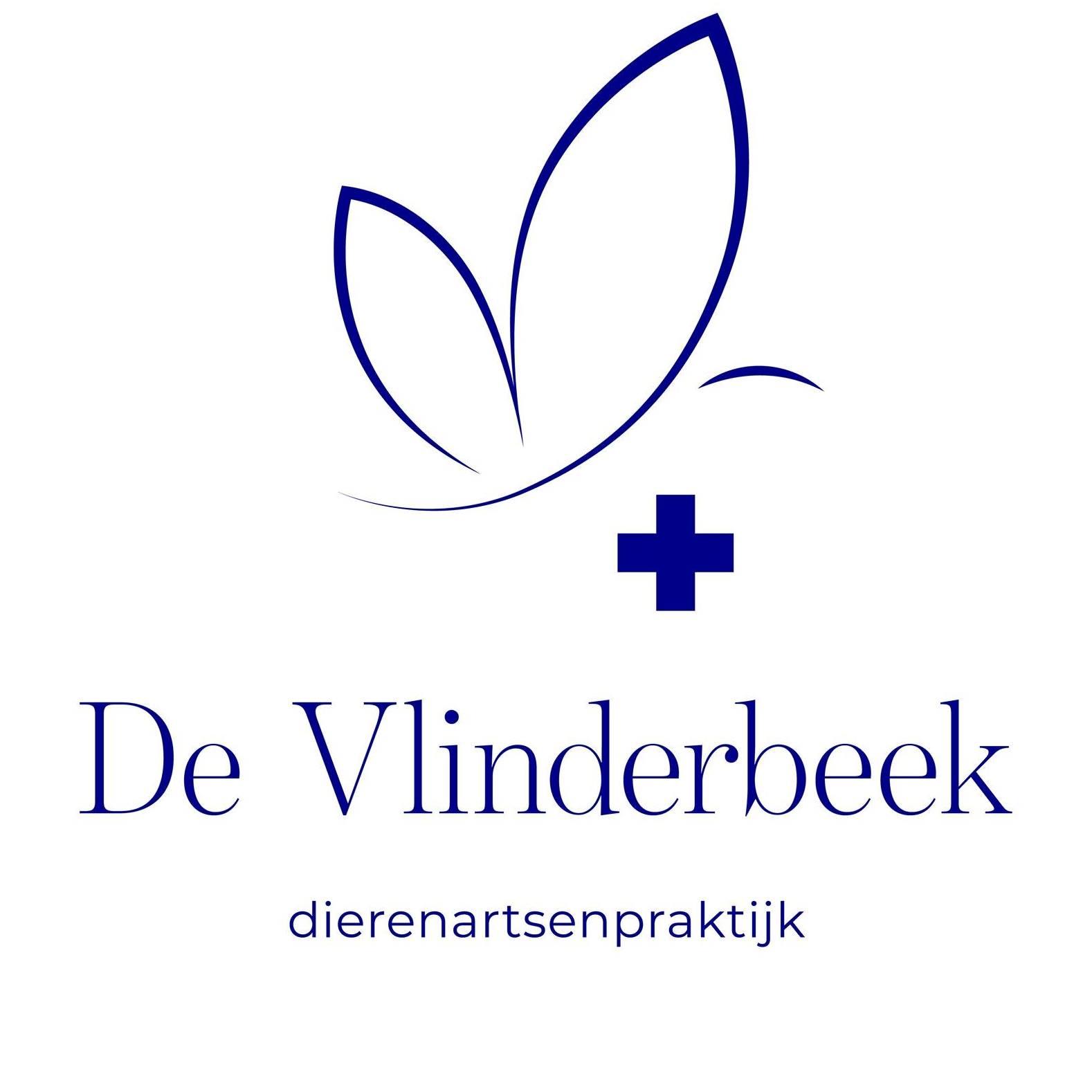 Logo vlinderbeek op wazaa be